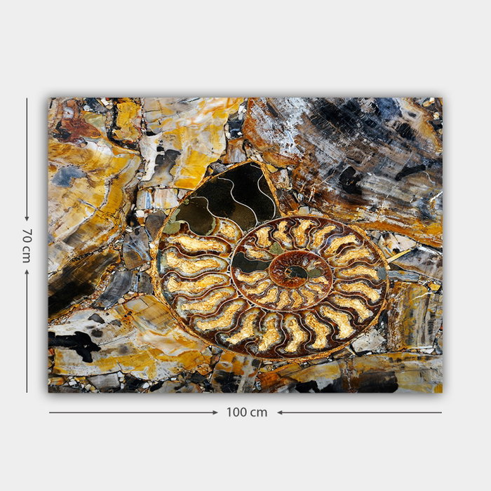 Wallity Lienzo Decorativo Multicolor 70 x 100 cm